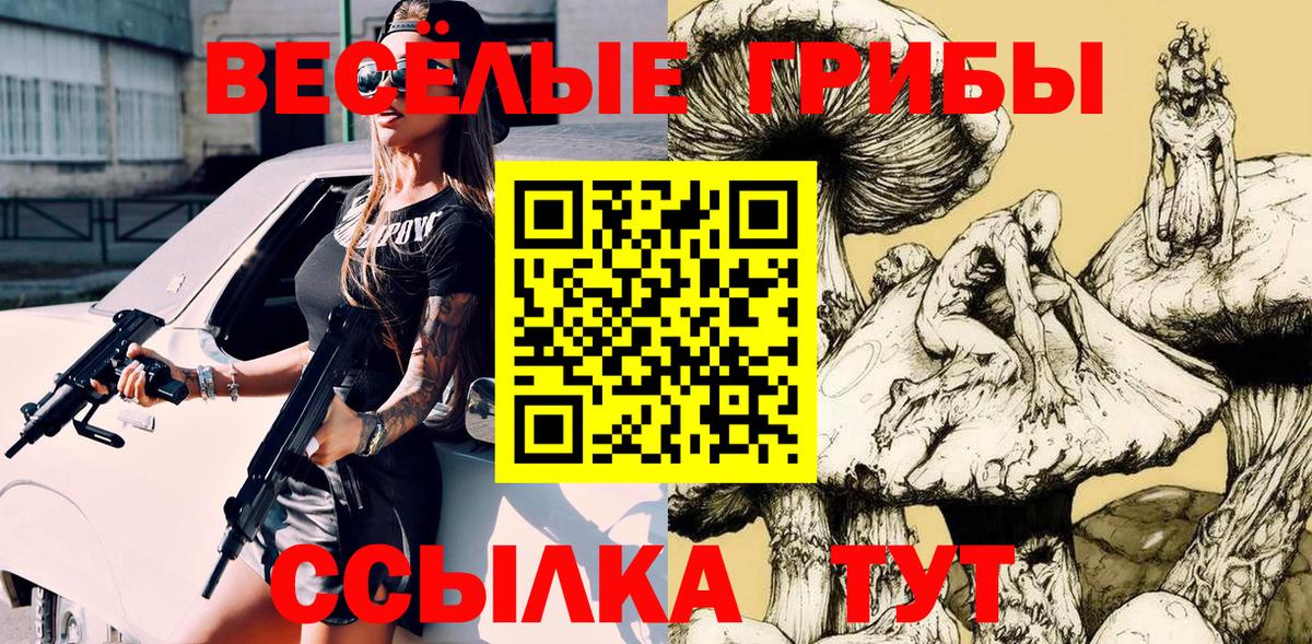 Знаменск  Псилоцибиновые грибы Cubensis  Вход с VPN 