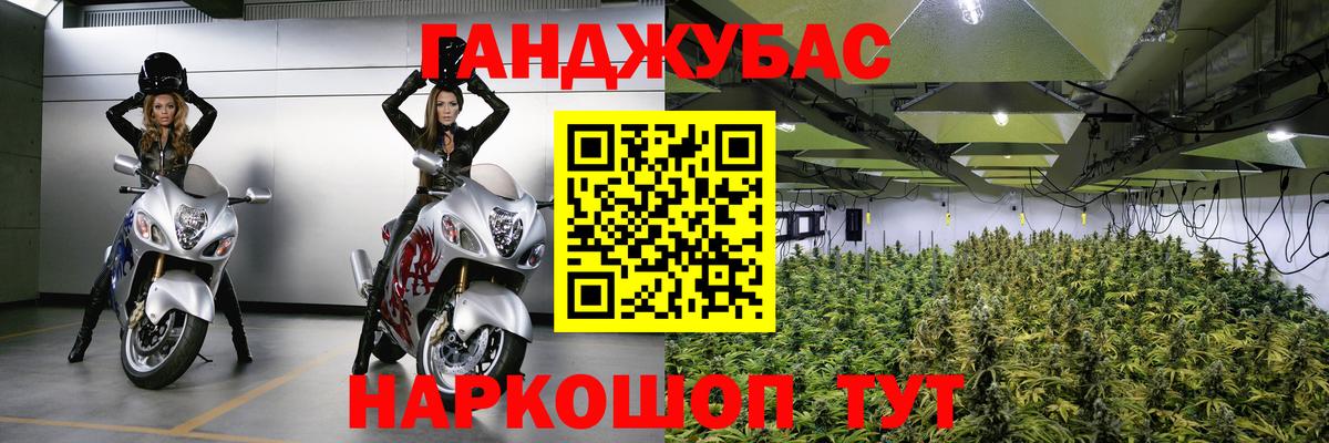 Бошки марихуана сатива  Марихуана Amnesia  Знаменск  Шишки марихуана гибрид  Вход с VPN 